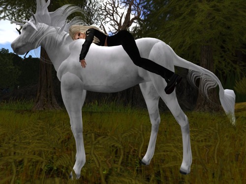 Web 526271e2955d1a2c28000001