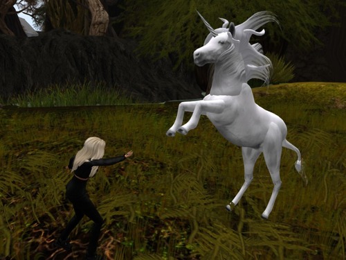 Web 5262724e829c7e16ed000001