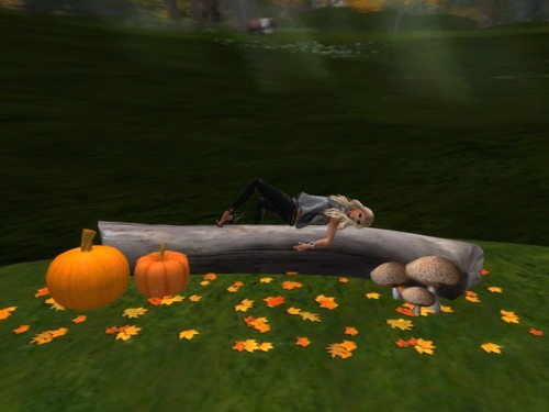 Web 52639088f9b7cf1176000001