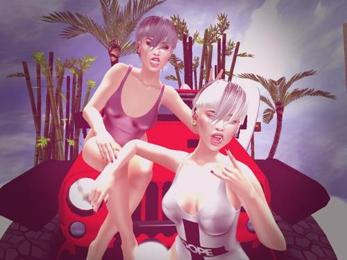 Web 5cc31a44289dd20a50000001