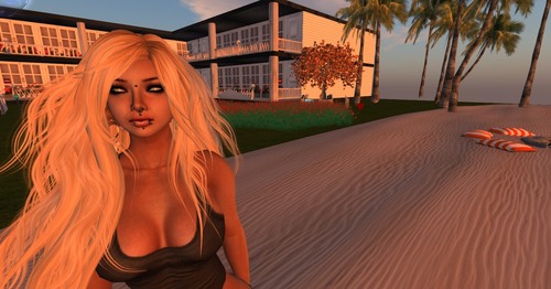 Web 53b6bdd6128cc96a91000001