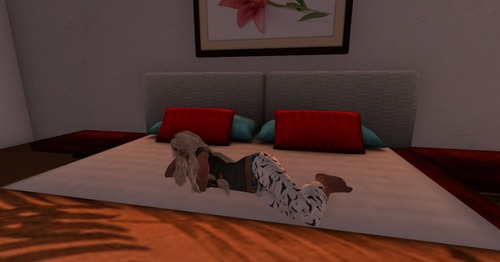 Web 53b9f31ff8a1ec63ae000001