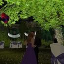 Thumb 549faf90f8a1ec150f000001