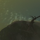 Thumb 529980309b9eae1558000001