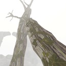 Thumb 529981ce9b9eae1b6a000001