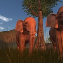 Thumb 52a1493c1fa95f20f2000001