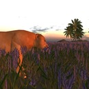 Thumb 52a14e71e572a6687b000001