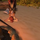 Thumb 52a15ee76641b83412000001