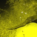 Thumb 52a412f753635e04b9000001