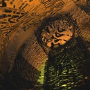 Thumb 532d25768da5722953000001