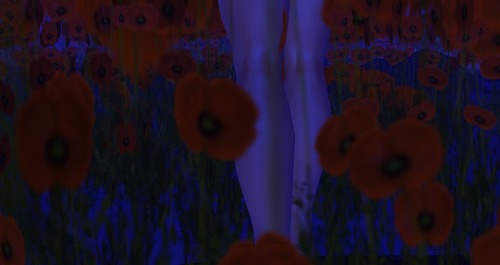 Web 5125ea11dfadfe2f7b000001