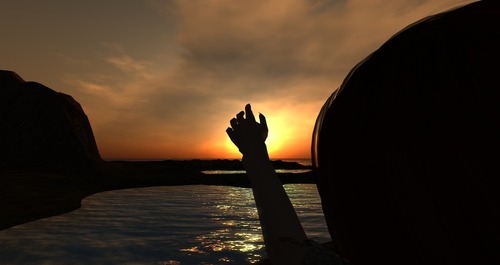 Web 512b017e667c564c23000001