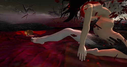 Web 5131784f6eb4747790000001