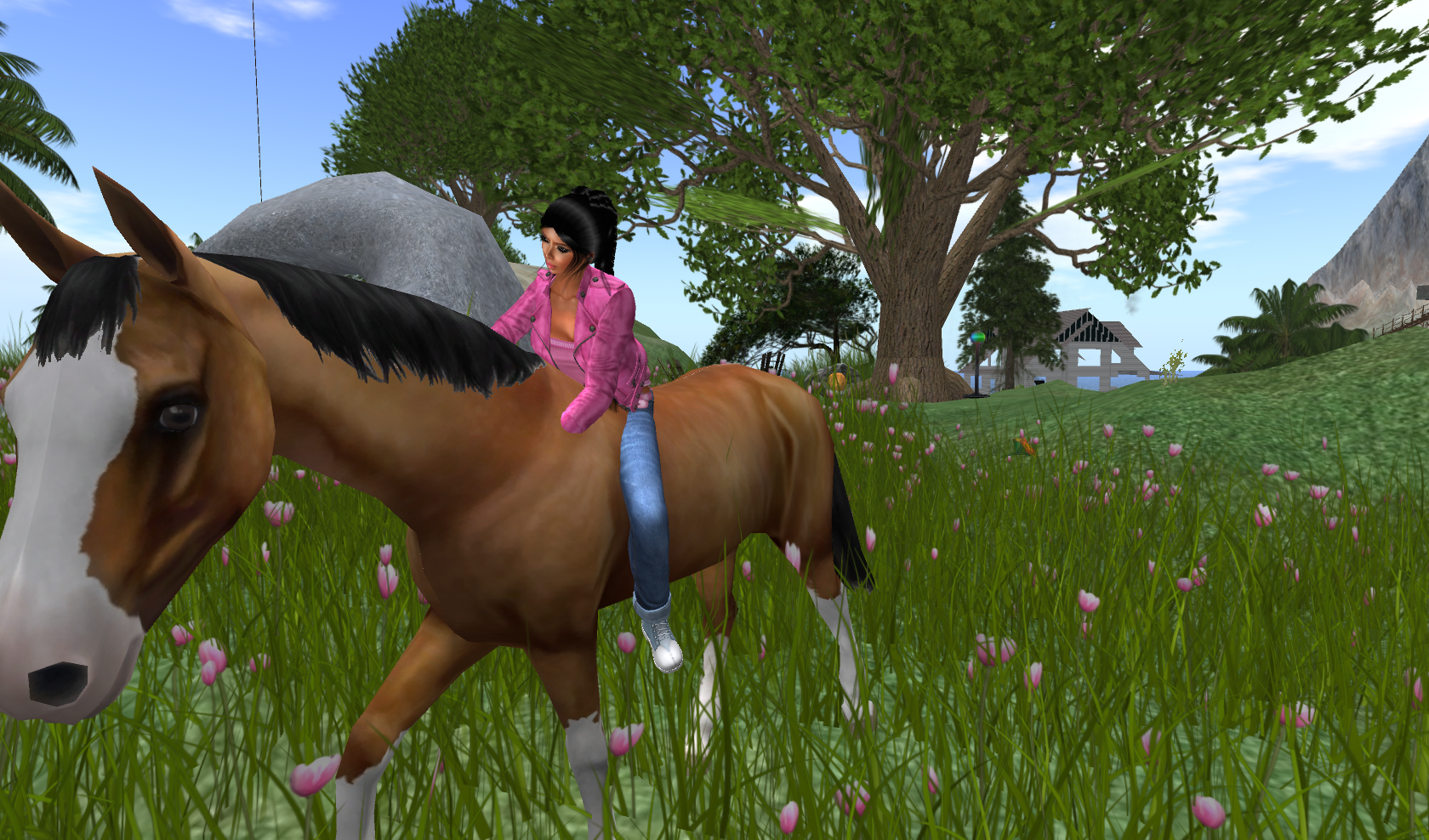 Original 5419a313a73e2174ea000001