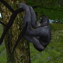 Thumb 5197300d07179932f4000001