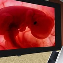 Thumb 543ebd008da5724fa3000001