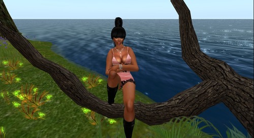 Web 51972f9275aee57d1e000001