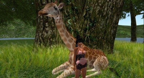 Web 5197312b21e4f37332000001