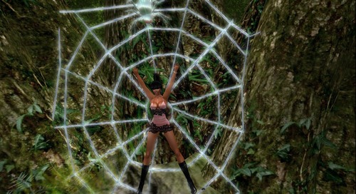 Web 5197320e06266b5efd000001