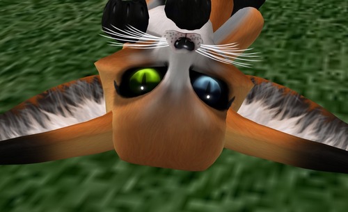 Web 53249c01128cc94161000001