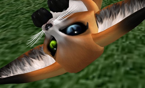 Web 53249cd78da572296d000001