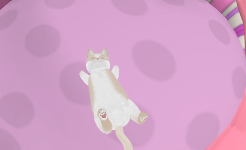 Web 53282c8e8da57226e6000001