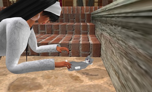 Web 53284829a73e217deb000001