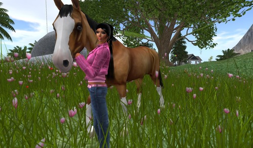 Web 5419a1a38da5721a9a000001