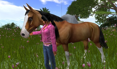 Web 5419a2e4a73e217287000001