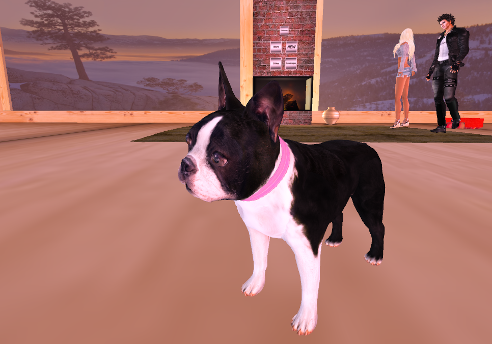 Original 52a25c21ce57437e3a000001