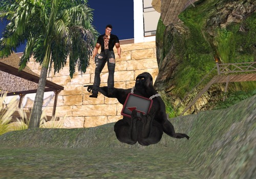 Web 527bed4f721e324447000001