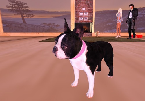 Web 52a25c21ce57437e3a000001