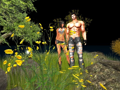 Web 5339a7ca8da57270de000001