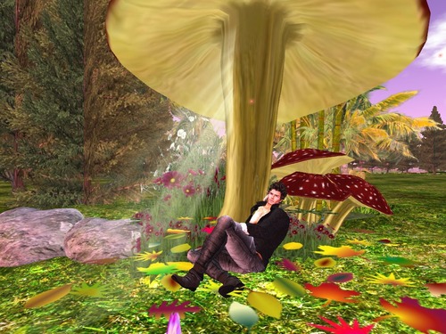 Web 534a79aa128cc95931000001