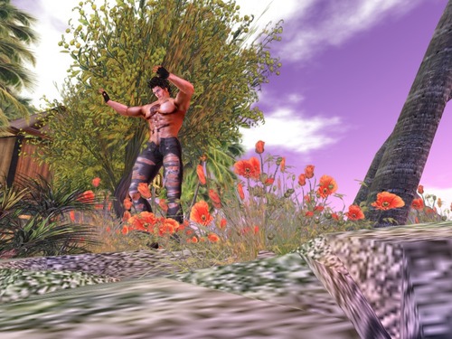 Web 5392b965a73e213e10000001