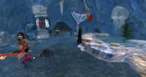 Web 51994181665e604a9d000001