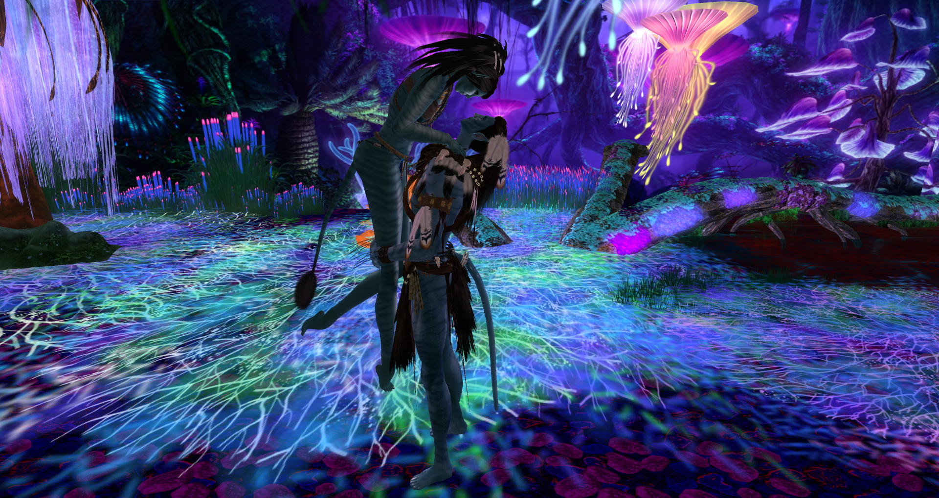 Original 53f395e2f8a1ec2564000001