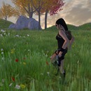 Thumb 5242d534e76a900ae8000001