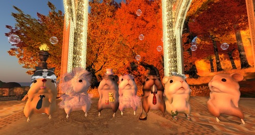 Web 525238630148e47f45000001