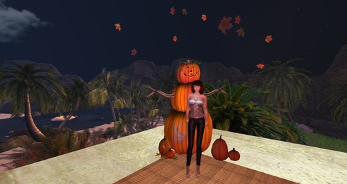 Web 526154e331b7cc14cf000001