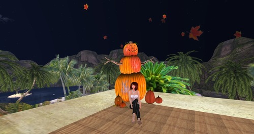 Web 5261569ec36765129d000001