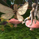 Thumb 6364772000e1d257b400fdca