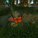 Thumb 636478c6a02cd756c7650e5c