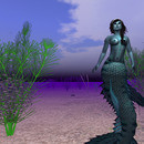 Thumb 6386f4de32df293e7c69c751