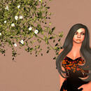 Thumb 64b08e266ed22a49bf441051