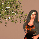 Thumb 64b08e4b15684f45ba6b98c5