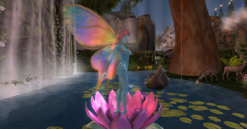 Web 63647c254a504529feb18b2d