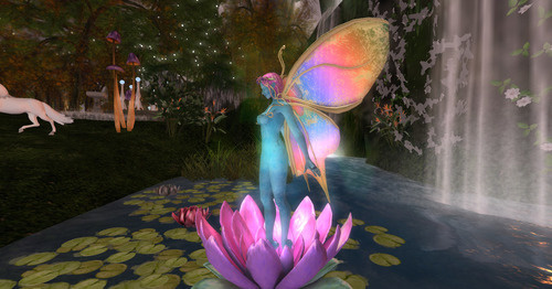 Web 63647c6d0106e14a37c3fab6