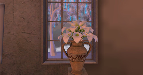 Web 63647e3bdbcf7d4b41b70e46