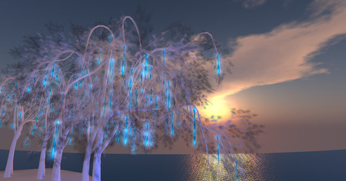 Web 63647fc34a504532dab18b2d